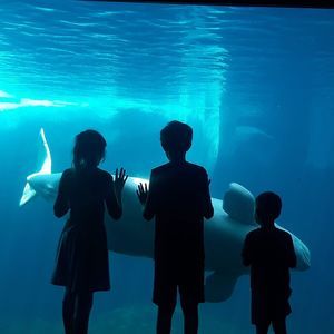 Meet your Posher, Kendall